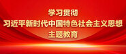 大鸡巴日bb视频学习贯彻习近平新时代中国特色社会主义思想主题教育_fororder_ad-371X160(2)